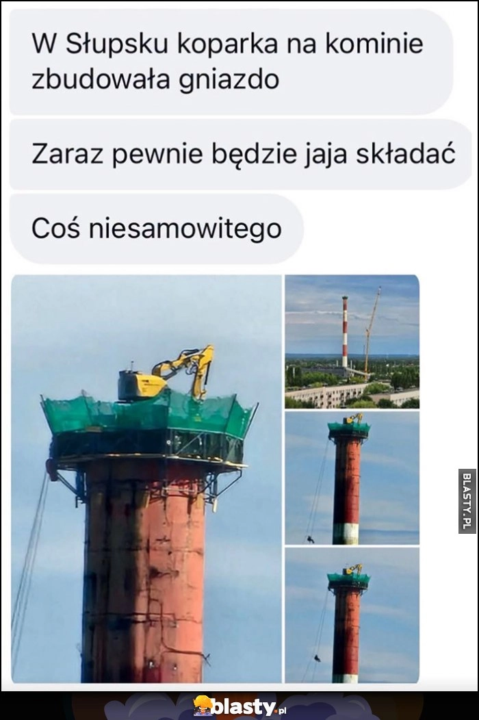 W Słupsku koparka na kominie zbudowała gniazdo zaraz pewnie będzie jaja składać, coś niesamowitego