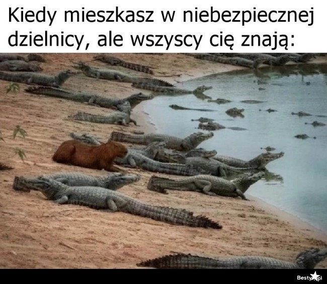 
    Można czuć się bezpiecznie 