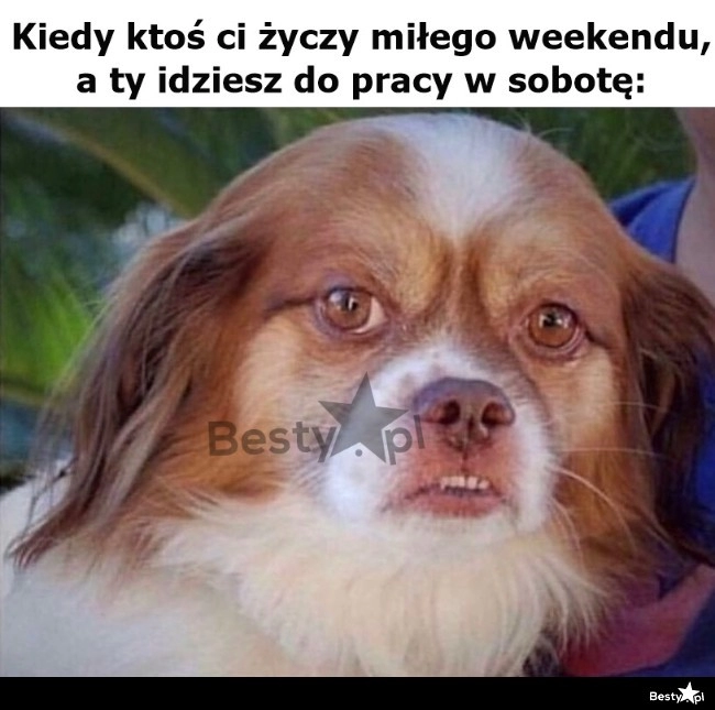 
    No dzięki 