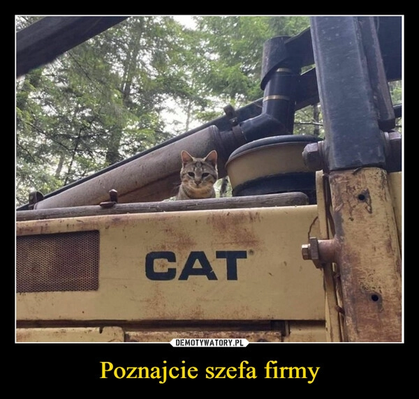 
    Poznajcie szefa firmy