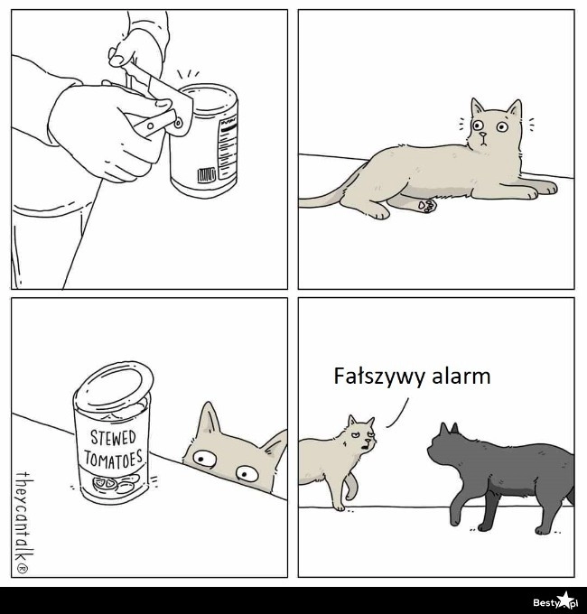 
    Fałszywy alarm 