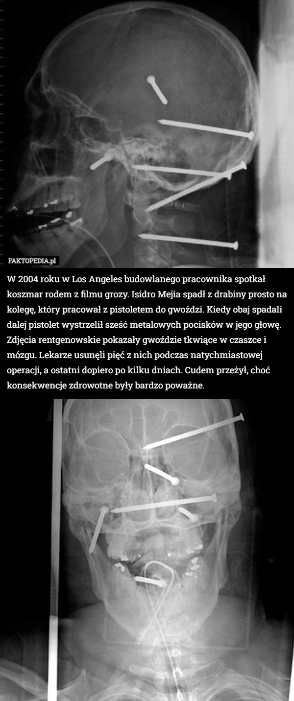 
    W 2004 roku w Los Angeles budowlanego pracownika spotkał koszmar rodem z