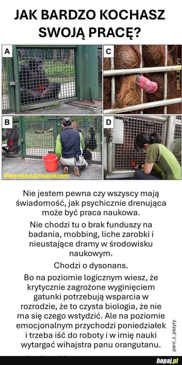 
    Fajna robota