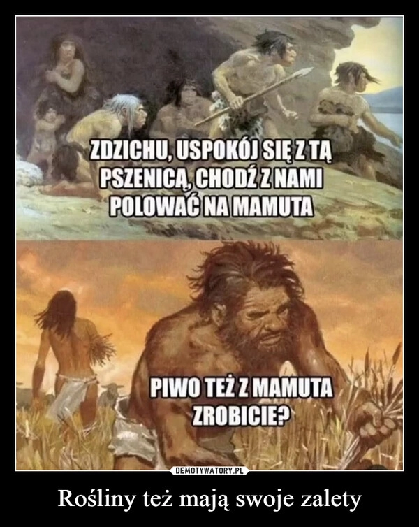 
    Rośliny też mają swoje zalety