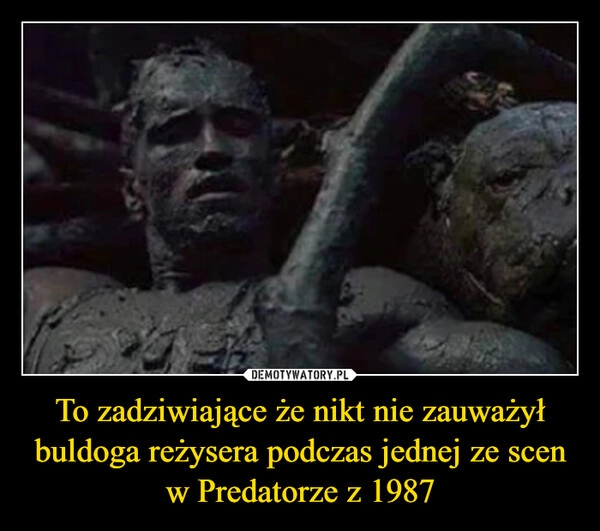 
    To zadziwiające że nikt nie zauważył buldoga reżysera podczas jednej ze scen w Predatorze z 1987