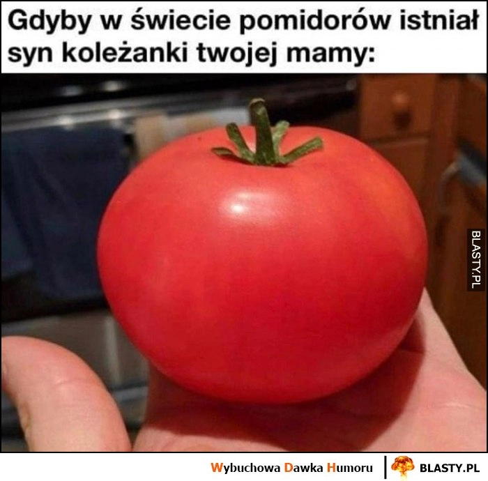 
    Gdyby w świecie pomidorów istniał syn koleżanki twojej starej mamy