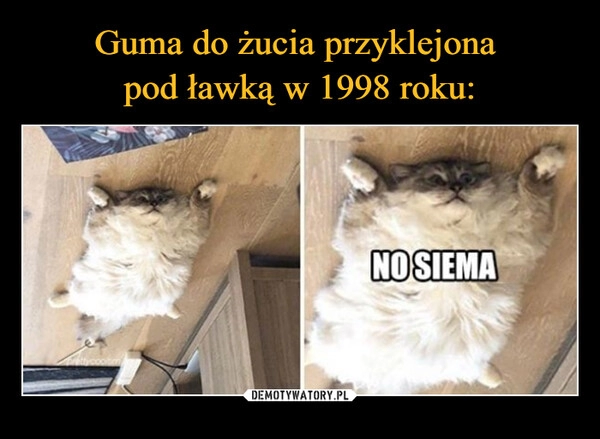 
    Guma do żucia przyklejona 
pod ławką w 1998 roku: