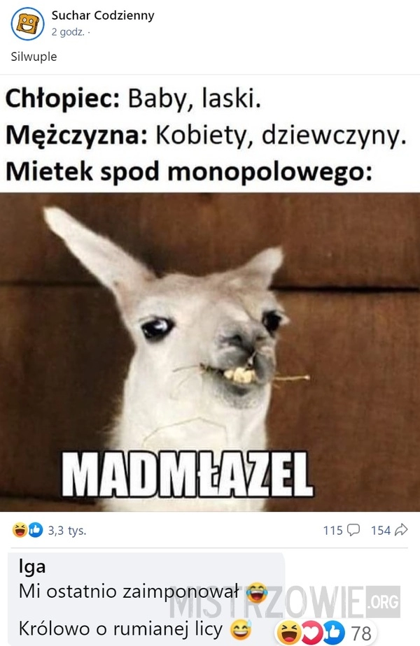 
    Mietek