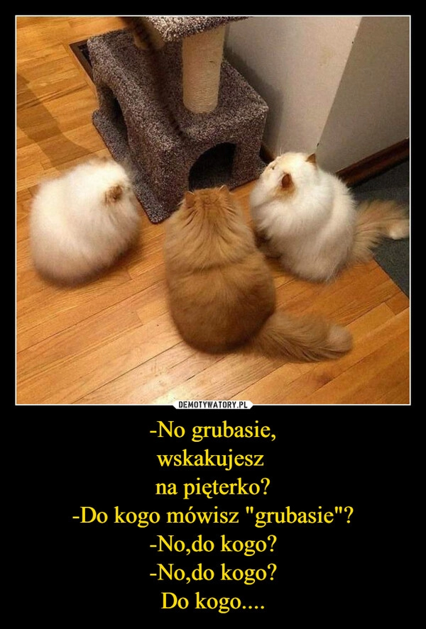 
    -No grubasie,
wskakujesz 
na pięterko?
-Do kogo mówisz "grubasie"?
-No,do kogo?
-No,do kogo?
Do kogo....