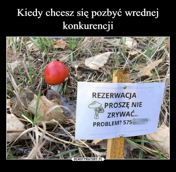 
    Kiedy chcesz się pozbyć wrednej konkurencji