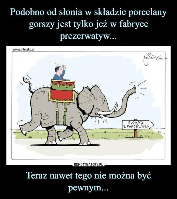 
    Podobno od słonia w składzie porcelany gorszy jest tylko jeż w fabryce prezerwatyw... Teraz nawet tego nie można być pewnym...