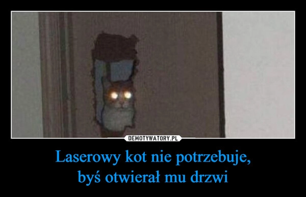 
    Laserowy kot nie potrzebuje,
byś otwierał mu drzwi