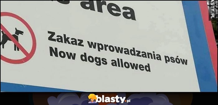 
    Zakaz wprowadzania psów, tłumaczenie: now dogs allowed