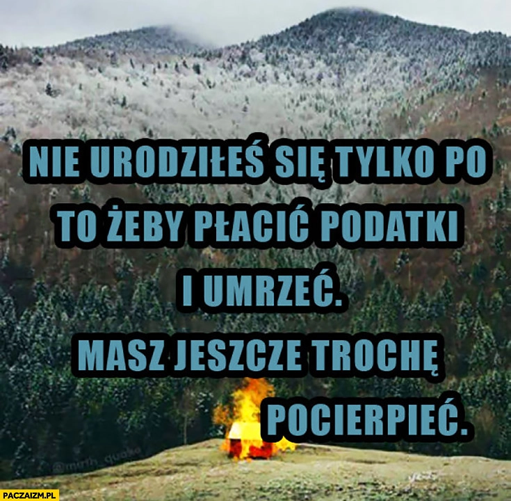 
    Nie urodziłeś się tylko po to żeby płacić podatki i umrzeć. Masz jeszcze trochę pocierpieć
