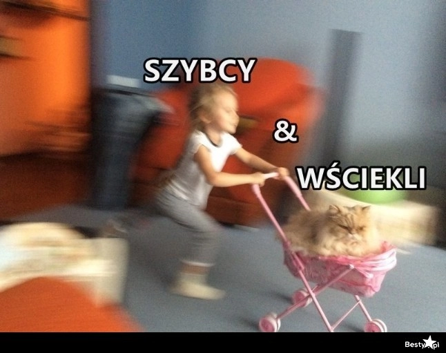 
    Szybcy i wściekli 