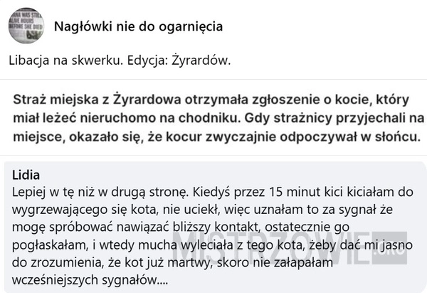 
    Zgłoszenie