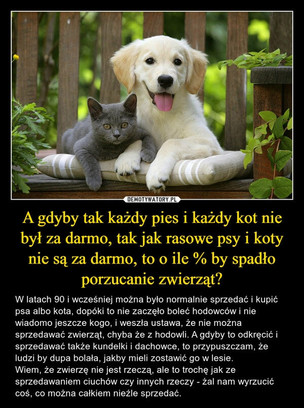 
    A gdyby tak każdy pies i każdy kot nie był za darmo, tak jak rasowe psy i koty nie są za darmo, to o ile % by spadło porzucanie zwierząt?