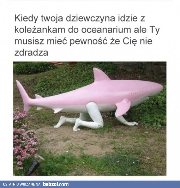 
    Muszę mieć pewność