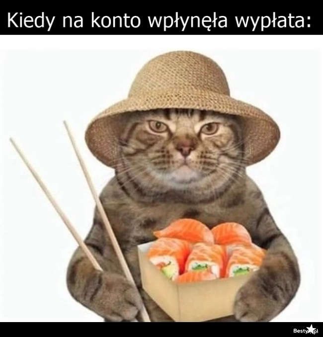 
    Jest wypłata, jest sushi 