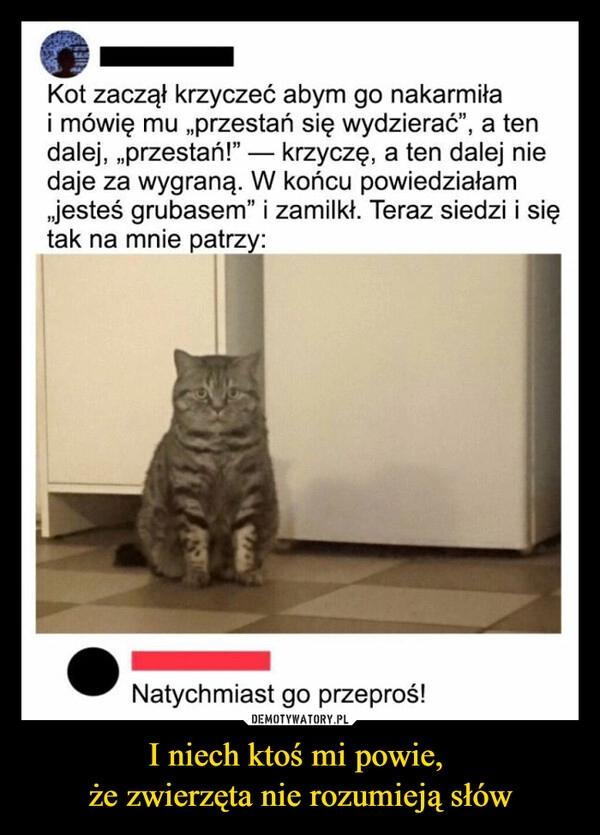 
    I niech ktoś mi powie, 
że zwierzęta nie rozumieją słów