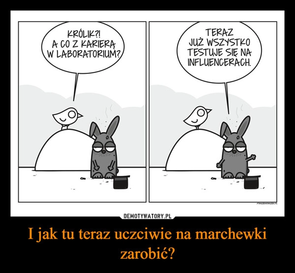 
    I jak tu teraz uczciwie na marchewki zarobić?