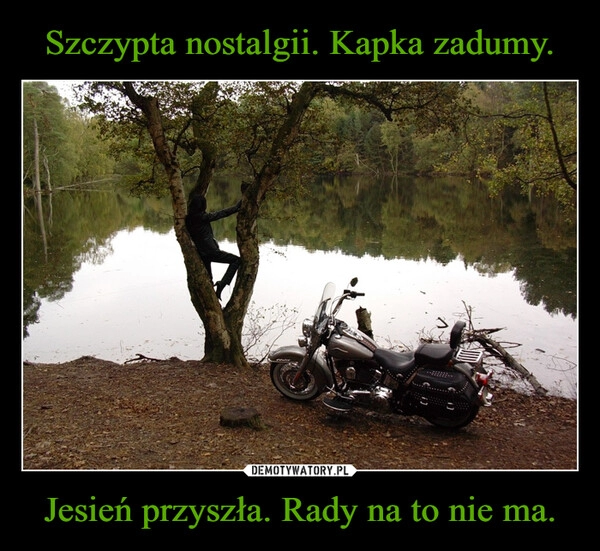 
    Szczypta nostalgii. Kapka zadumy. Jesień przyszła. Rady na to nie ma.