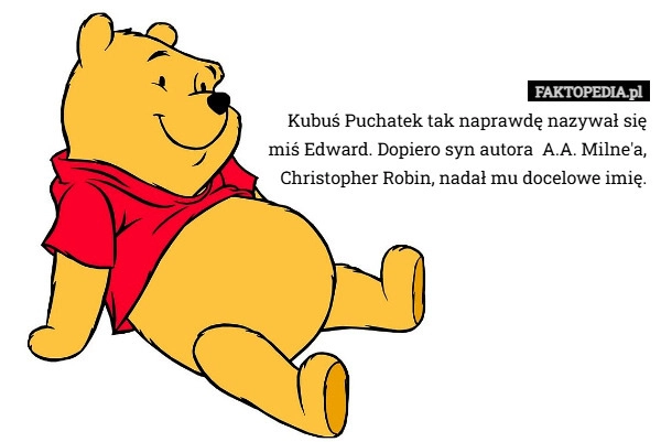 
    Kubuś Puchatek tak naprawdę nazywał się miś Edward. Dopiero syn autora