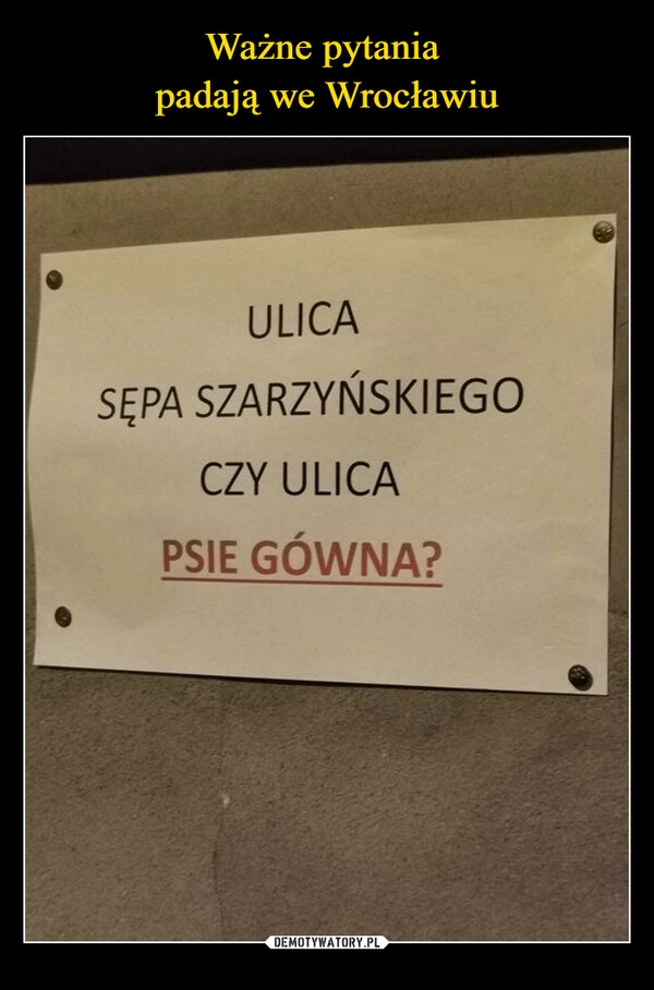 
    Ważne pytania 
padają we Wrocławiu