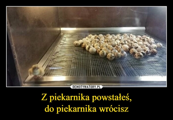 
    Z piekarnika powstałeś,
do piekarnika wrócisz