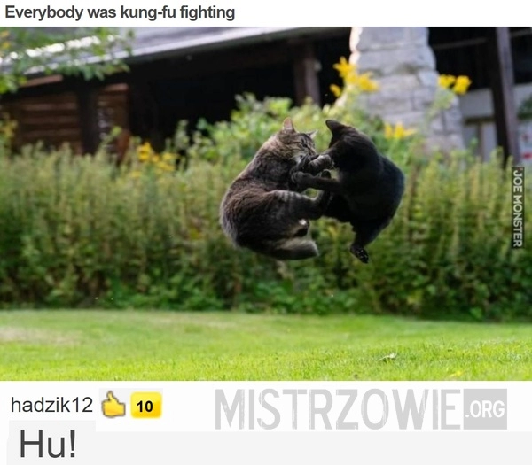 
    Everybody was kung-fu fighting