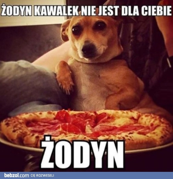 
    Żodyn 
