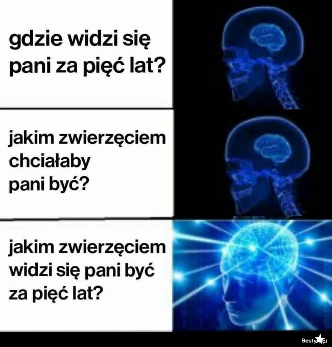 
    Działy HR 