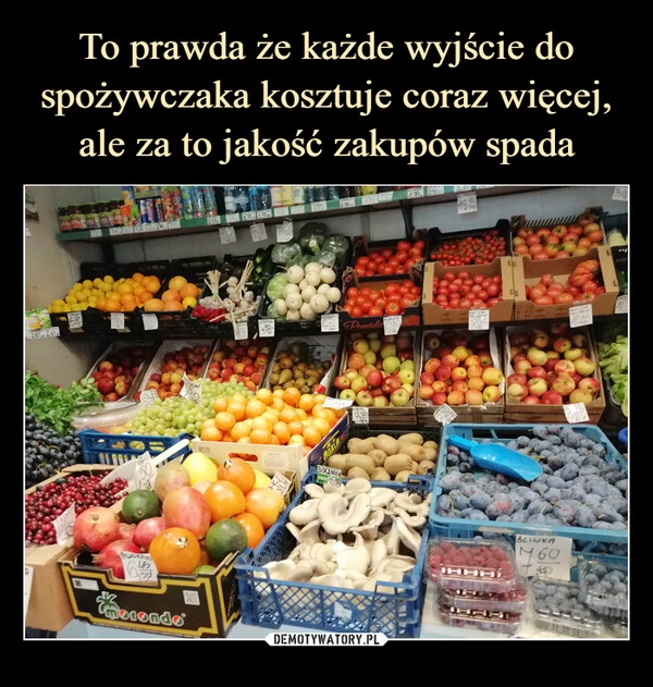 
    To prawda że każde wyjście do spożywczaka kosztuje coraz więcej, ale za to jakość zakupów spada