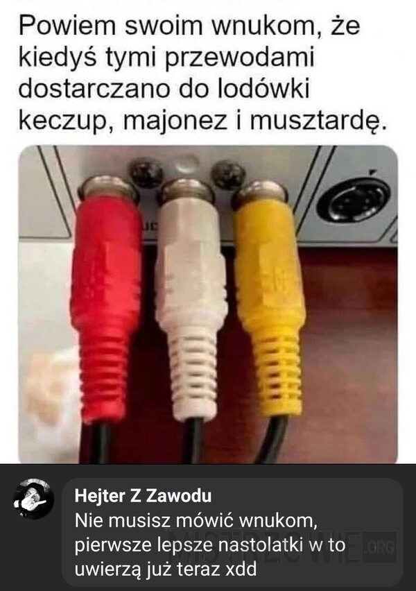 
    Przewody