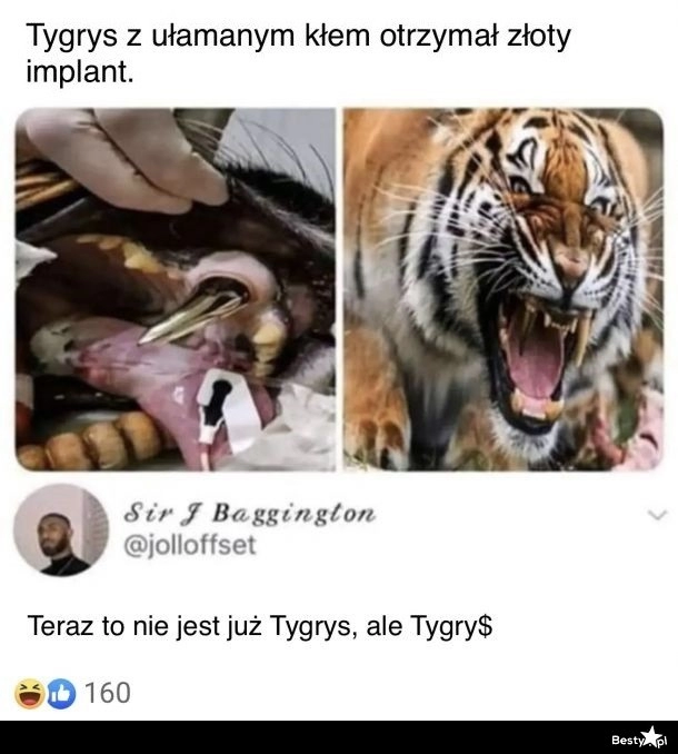 
    Złoty implant 