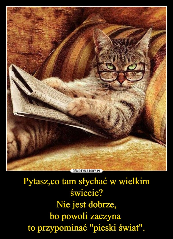 
    Pytasz,co tam słychać w wielkim świecie?
Nie jest dobrze,
bo powoli zaczyna 
to przypominać "pieski świat".