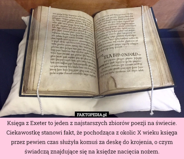 
    
			Księga z Exeter to jeden z najstarszych zbiorów poezji na świecie. Ciekawostkę...					