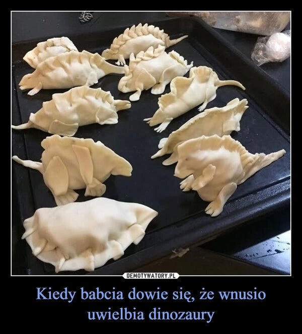 
    Kiedy babcia dowie się, że wnusio uwielbia dinozaury