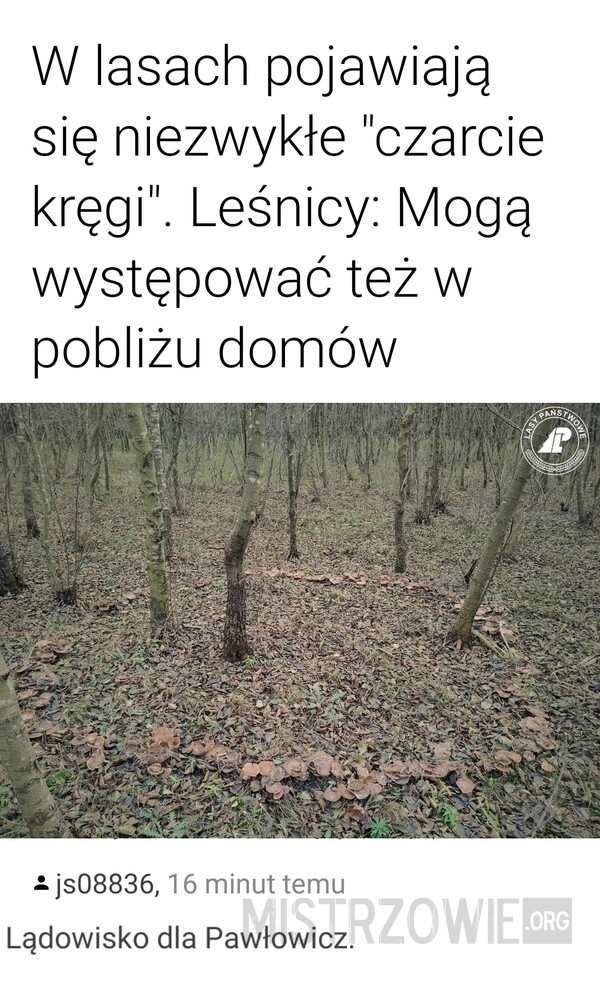 
    Czarcie kręgi