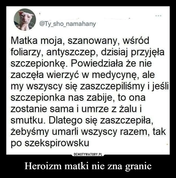 
    Heroizm matki nie zna granic