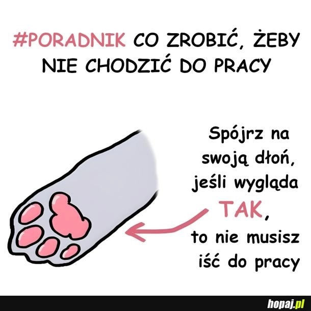 
    Poradnik