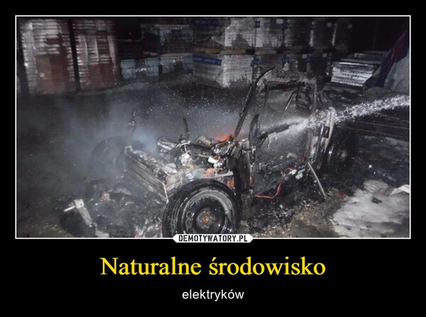 
    Naturalne środowisko