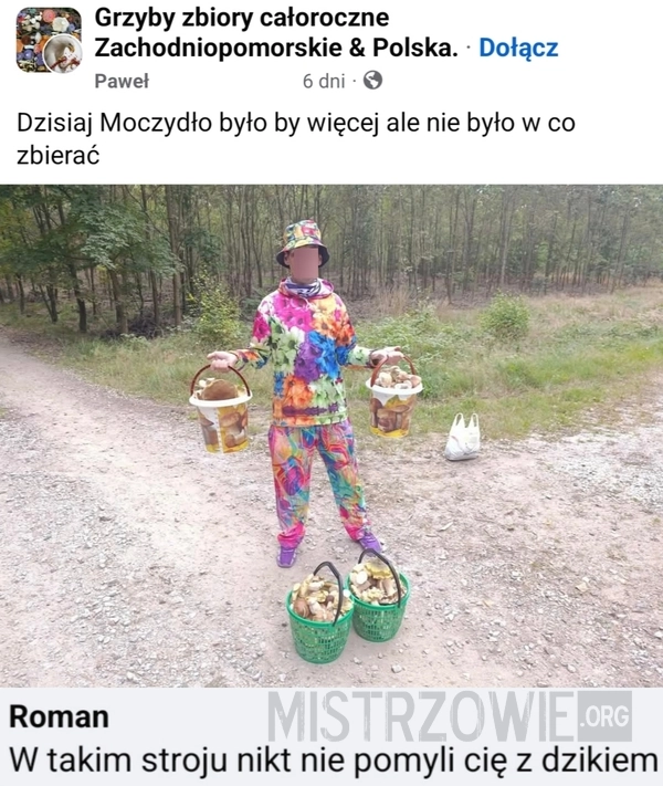
    Grzybobranie