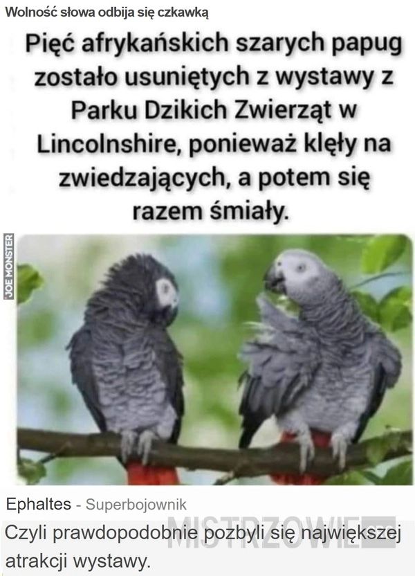 
    Wolność słowa odbija się czkawką