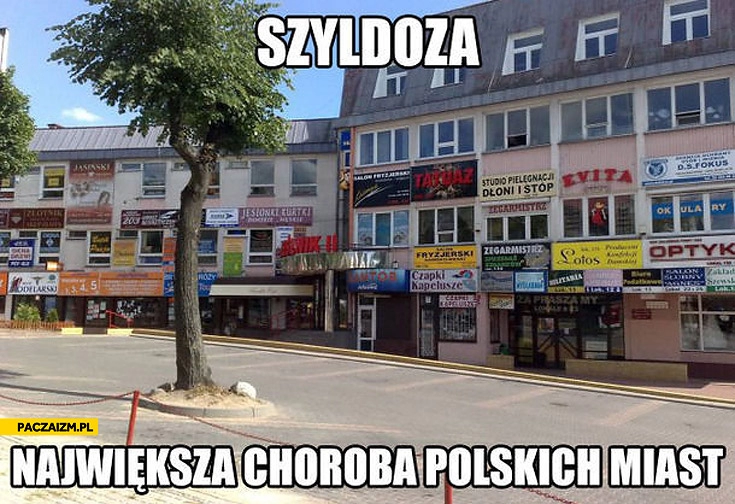 
    Szyldoza największa choroba polskich miast