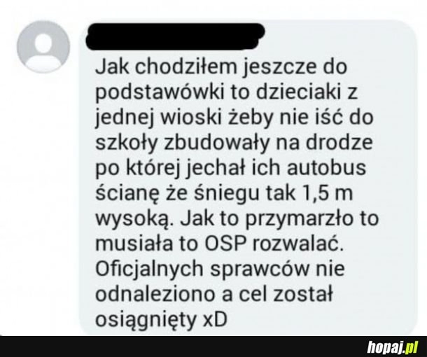 
    Duży mózg czas