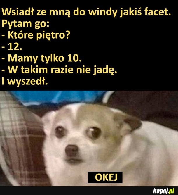 
    Dziwny gość