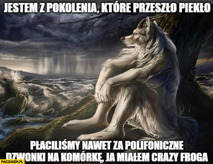 
    Jestem z pokolenia które przeszło piekło płaciliśmy nawet za polifoniczne dzwonki na komórkę ja miałem crazy froga