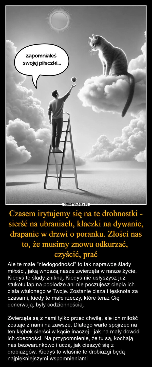 
    Czasem irytujemy się na te drobnostki - sierść na ubraniach, kłaczki na dywanie, drapanie w drzwi o poranku. Złości nas to, że musimy znowu odkurzać, 
czyścić, prać