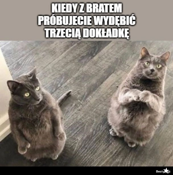 
    Trzecia dokładka 